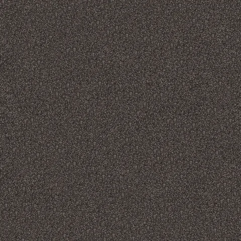 Canyon Stipple carpet swatch